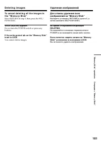 Страница 181