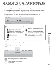 Страница 171