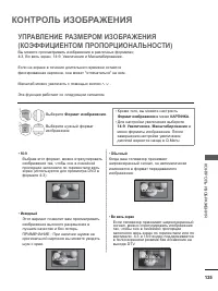 Страница 177