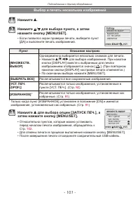 Страница 101
