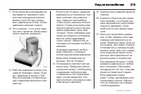 Страница 215