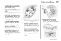 Страница 217