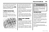 Страница 216