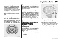 Страница 216