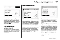 Страница 117
