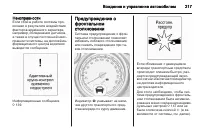 Страница 219
