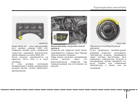 Страница 194