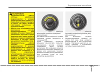 Страница 196