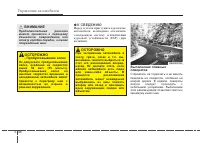 Страница 305