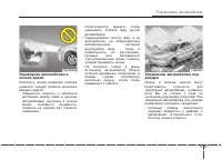 Страница 306