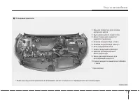 Страница 350