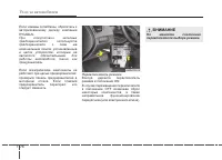 Страница 423