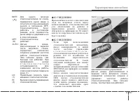 Страница 204