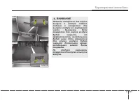 Страница 238