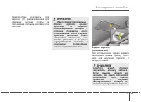 Страница 242