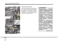 Страница 243