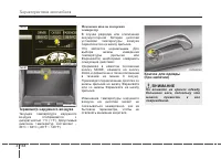 Страница 245