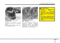 Страница 246