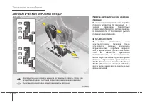 Страница 264
