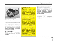 Страница 323