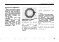 Страница 407