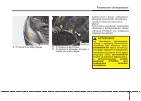 Страница 429