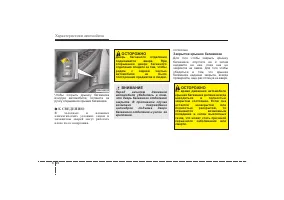 Страница 115
