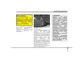 Страница 313
