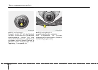 Страница 234