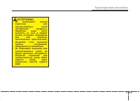 Страница 243