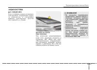 Страница 251