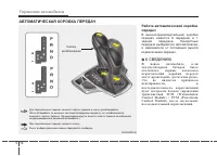 Страница 295