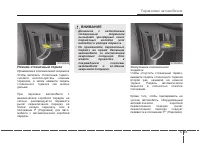 Страница 304