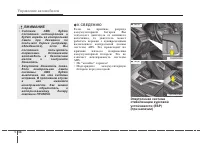 Страница 317