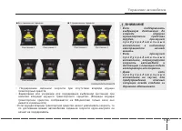 Страница 338