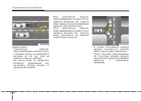 Страница 343