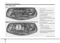 Страница 389