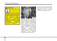 Страница 425