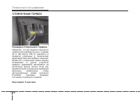 Страница 433