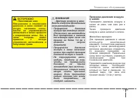 Страница 446