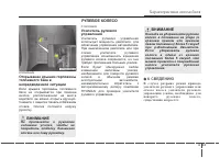 Страница 117