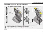 Страница 213