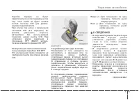 Страница 217