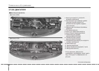 Страница 278