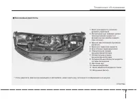 Страница 279
