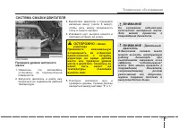 Страница 303