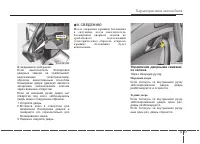 Страница 117