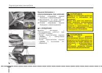 Страница 124