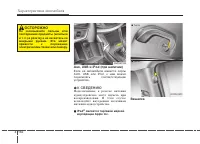 Страница 262