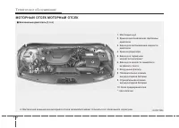 Страница 479